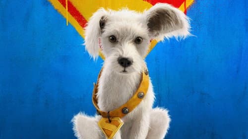 Backdrop do filme: Supergirl