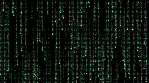 Backdrop do filme: Matrix
