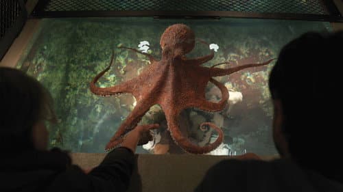 Backdrop do filme: Criaturas Extraordinariamente Brilhantes