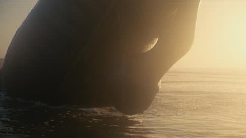 Backdrop do filme: A Odisseia