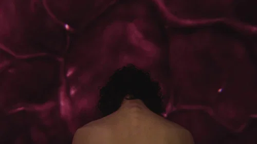 Backdrop do filme: Acampamento Miasma: Adolescência, Sexo e Morte