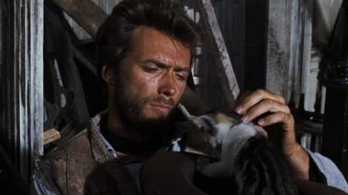 Backdrop do filme: Três Homens em Conflito