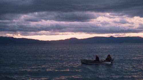 Backdrop do filme: O Poderoso Chefão: Parte II