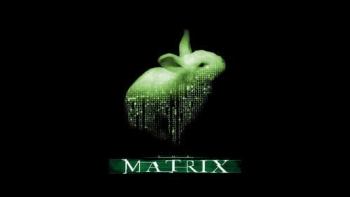 Backdrop do filme: Matrix