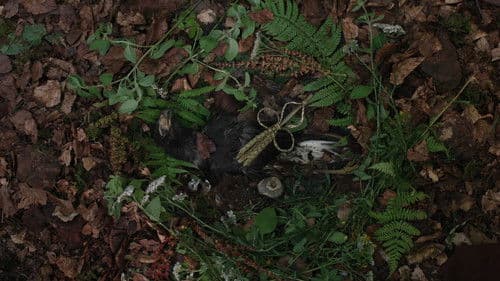 Backdrop do filme: Hamnet: A Vida Antes de Hamlet