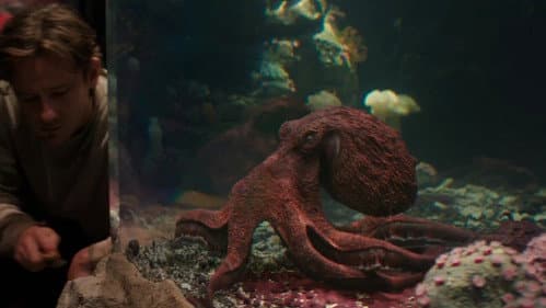 Backdrop do filme: Criaturas Extraordinariamente Brilhantes