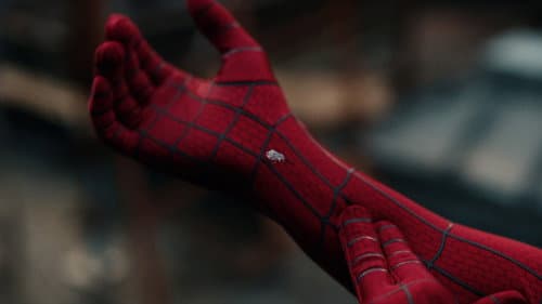 Backdrop do filme: Homem-Aranha: Um Novo Dia