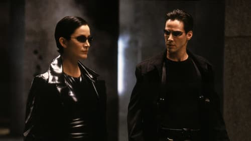 Backdrop do filme: Matrix