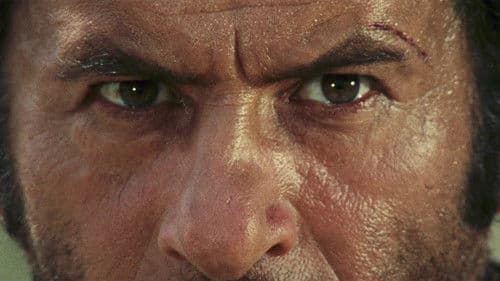 Backdrop do filme: Três Homens em Conflito