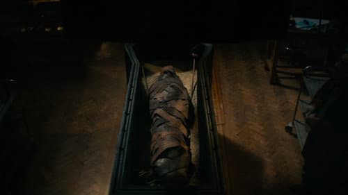 Backdrop do filme: Maldição da Múmia