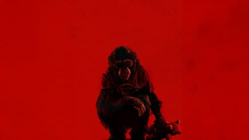 Backdrop do filme: O Primata