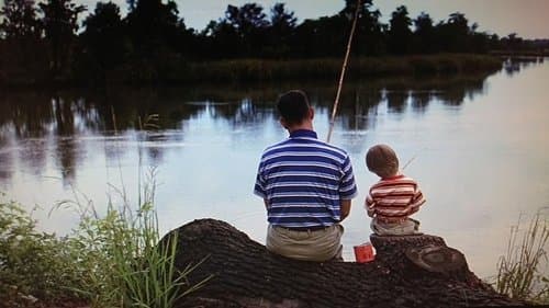 Backdrop do filme: Forrest Gump: O Contador de Histórias