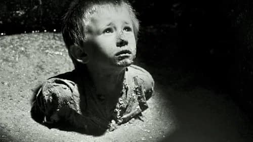 Backdrop do filme: A Lista de Schindler