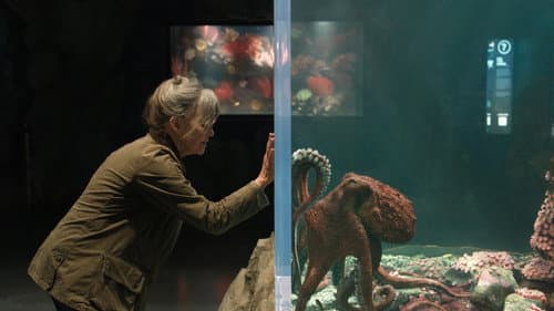 Backdrop do filme: Criaturas Extraordinariamente Brilhantes