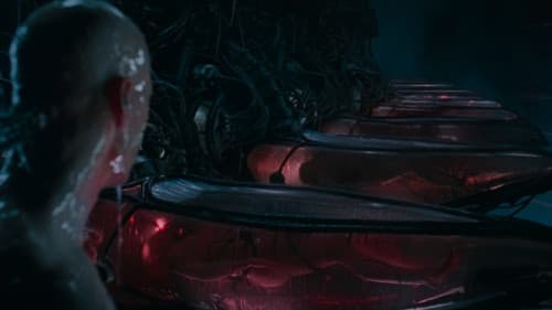 Backdrop do filme: Matrix