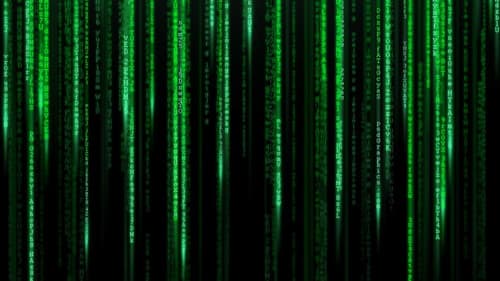 Backdrop do filme: Matrix