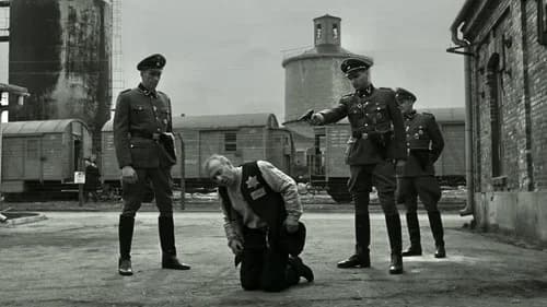 Backdrop do filme: A Lista de Schindler