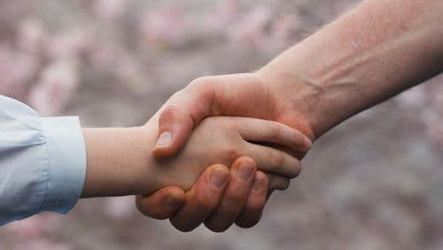 Backdrop do filme: Família de Aluguel