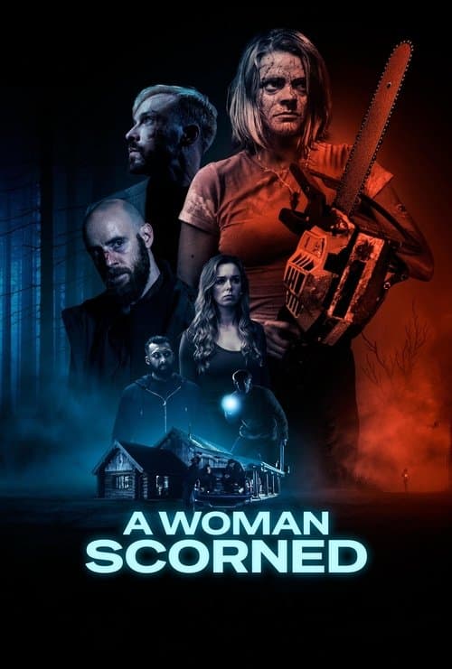 Poster do filme: A Woman Scorned