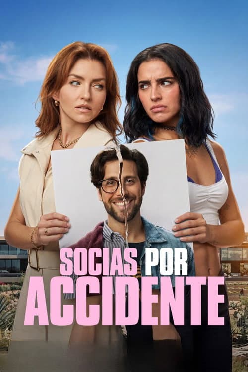 Poster do filme: Socias por accidente
