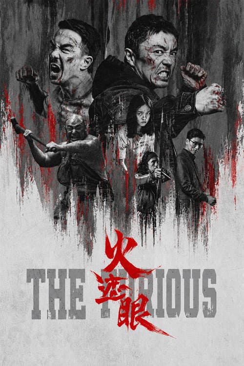 Poster do filme: The Furious