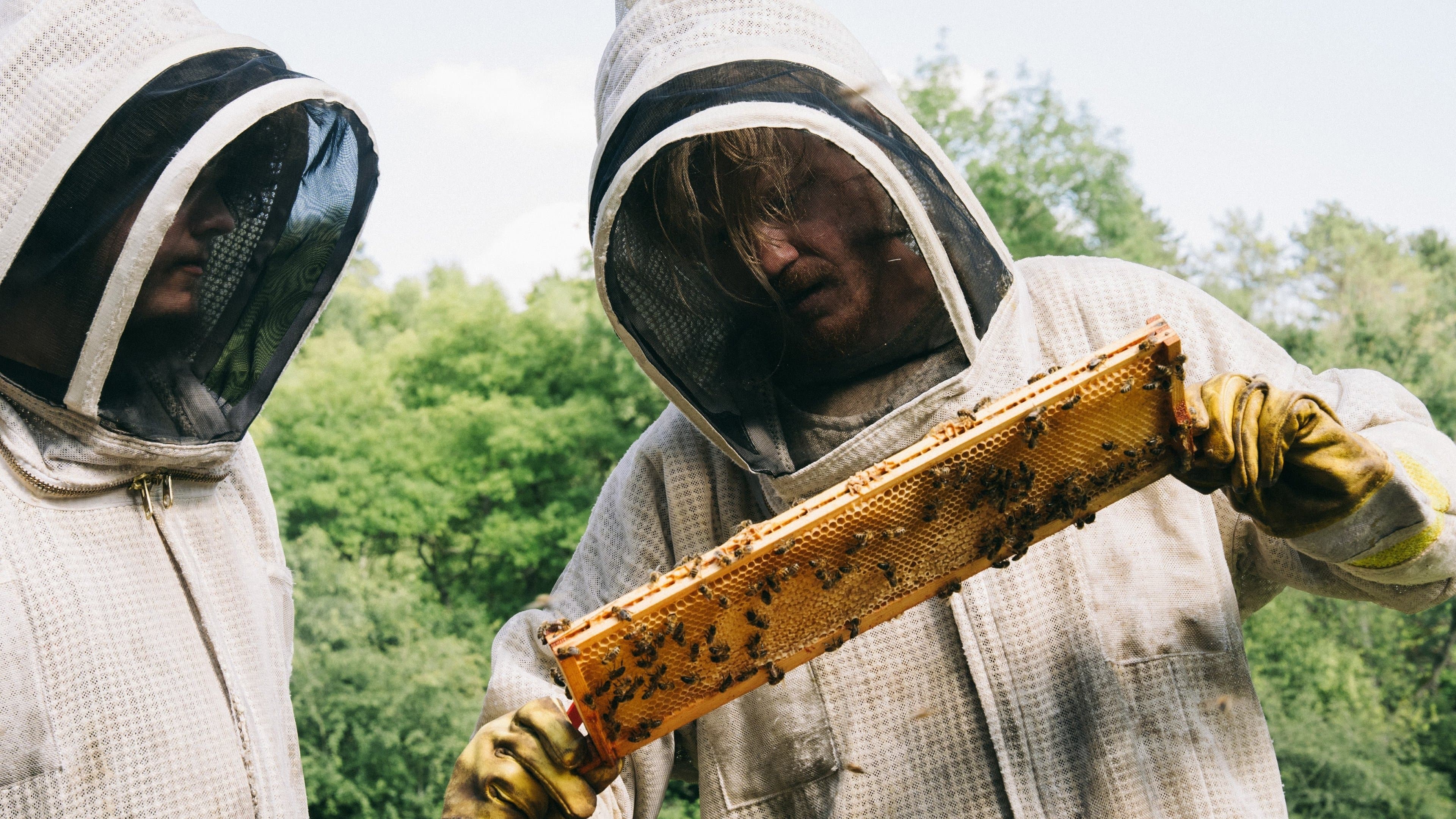 Backdrop do filme: Bugonia
