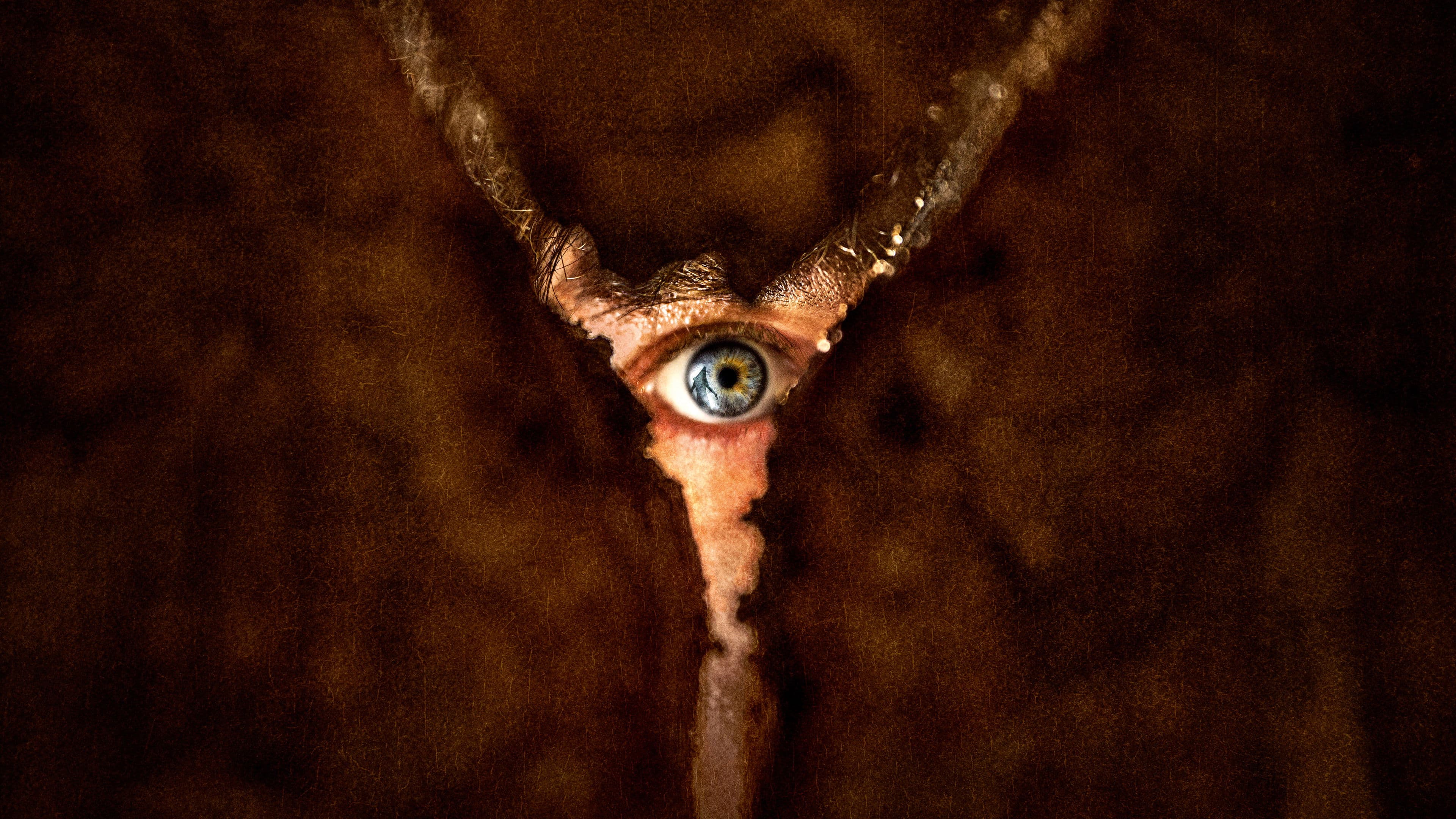 Backdrop do filme: Terror em Silent Hill: Regresso Para o Inferno