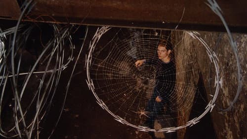 Backdrop do filme: Homem-Aranha