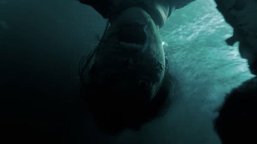 Backdrop do filme: Socorro!