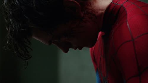 Backdrop do filme: Homem-Aranha: Um Novo Dia