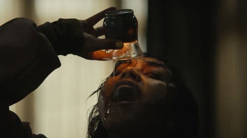 Backdrop do filme: A Morte do Demônio: Em Chamas