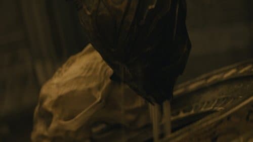 Backdrop do filme: Predador: Terras Selvagens