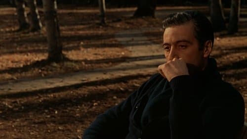 Backdrop do filme: O Poderoso Chefão: Parte II