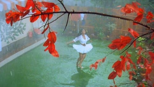 Backdrop do filme: Dilwale vai levar a noiva