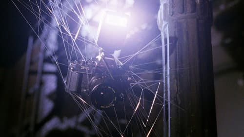 Backdrop do filme: Homem-Aranha
