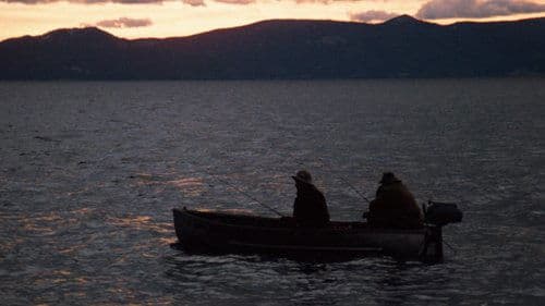 Backdrop do filme: O Poderoso Chefão: Parte II