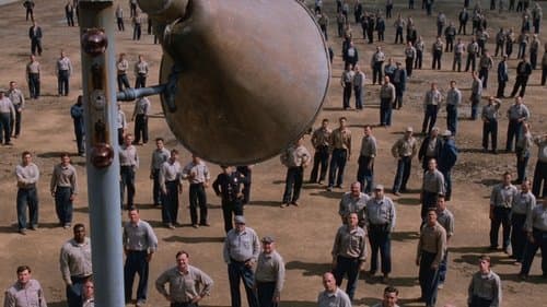 Backdrop do filme: Um Sonho de Liberdade