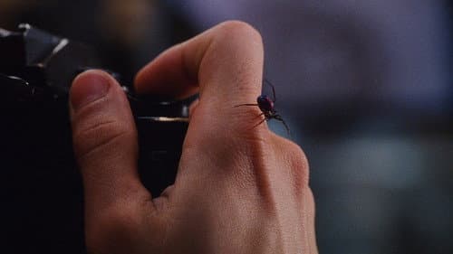 Backdrop do filme: Homem-Aranha