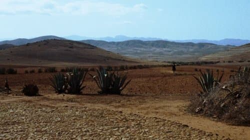 Backdrop do filme: Três Homens em Conflito