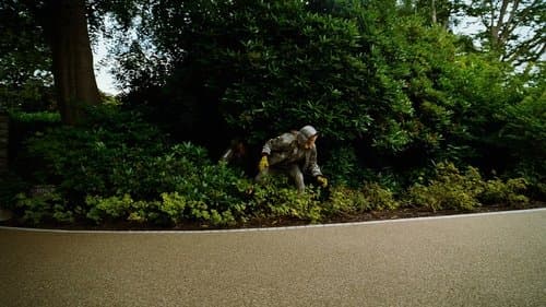 Backdrop do filme: Bugonia