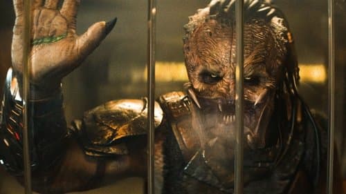 Backdrop do filme: Predador: Terras Selvagens