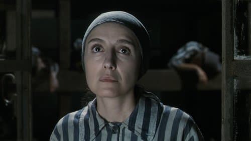 Backdrop do filme: A Vida é Bela