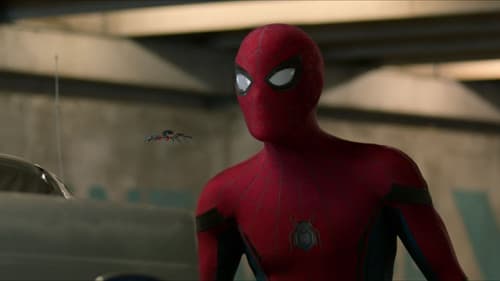 Backdrop do filme: Homem-Aranha: De Volta ao Lar