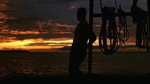 Backdrop do filme: Forrest Gump: O Contador de Histórias