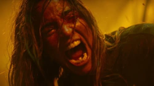 Backdrop do filme: A Morte do Demônio: Em Chamas