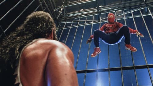 Backdrop do filme: Homem-Aranha