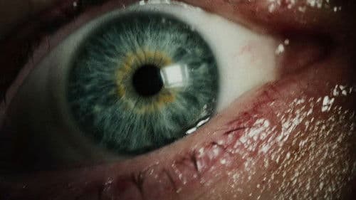 Backdrop do filme: Terror em Silent Hill: Regresso Para o Inferno