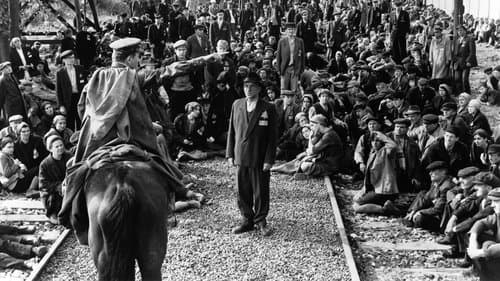 Backdrop do filme: A Lista de Schindler