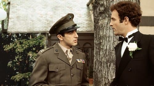 Backdrop do filme: O Poderoso Chefão