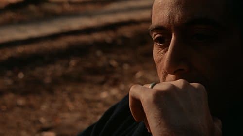 Backdrop do filme: O Poderoso Chefão: Parte II